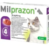 krka-milprazon-ontwormingstabletten-kat-1.webp