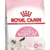 royal-canin-babycat-1-1.webp