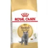 royal-canin-british-shorthair-1.webp