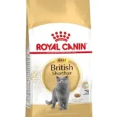 royal-canin-british-shorthair-1.webp