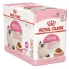 royal-canin-wet-kitten-1.webp