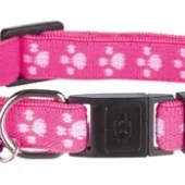 Trixie Halsband Kat Print Poot Elastisch Assorti