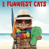 katten kalender funnest cats 2025