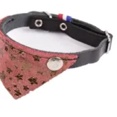 Martin katten halsband miami zwart / rood