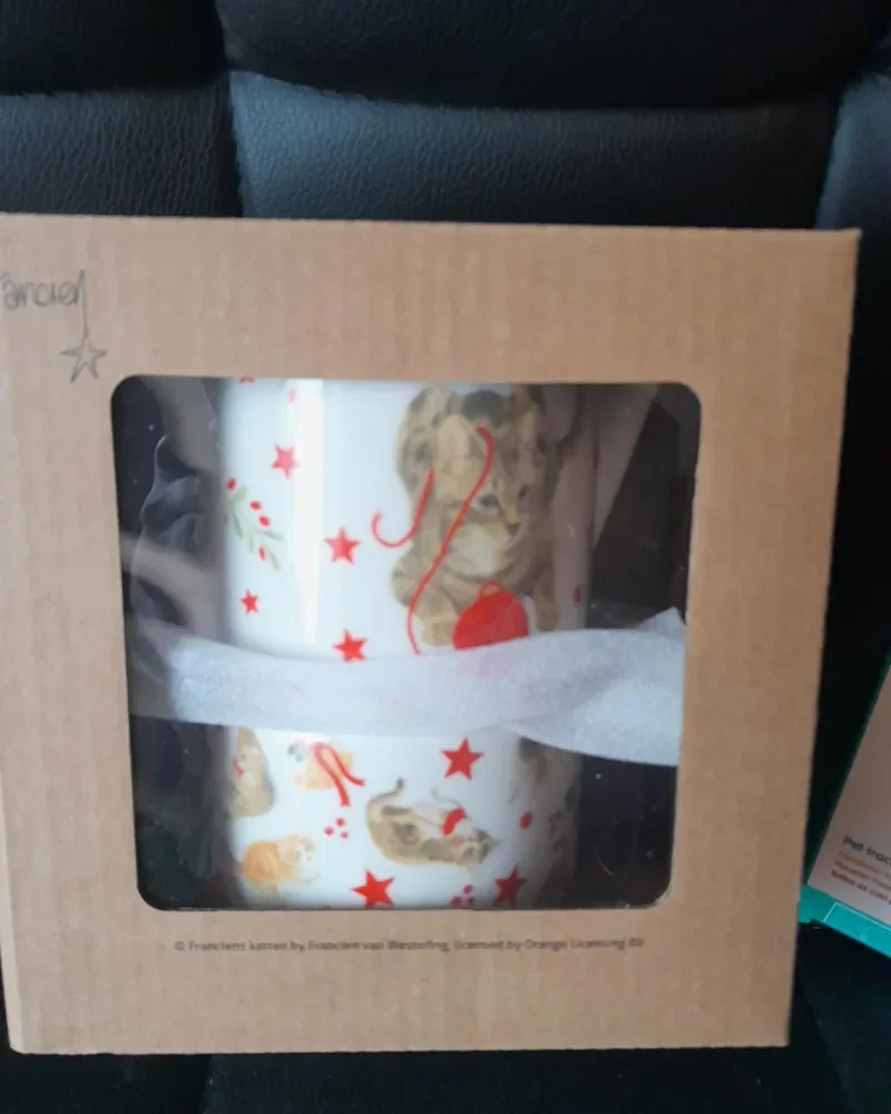 Francien 1 persoons kattentheepot met kopje