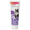 BEAPHAR HAARBALPASTA MET MALT DUO-ACTIVE