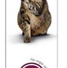 GIMCAT MALT-SOFT HAARBALPASTA EXTRA