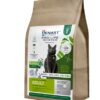 HENART MEALWORM INSECT CAT ADULT WITH HEM EGGSHELL MEMBRANE