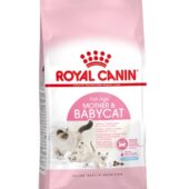 ROYAL CANIN BABYCAT