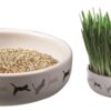 TRIXIE KATTENGRASZAAD 50GR IN KERAMIEK