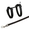 TRIXIE KITTENTUIG MET RIEM ASSORTI