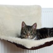 TRIXIE RADIATORHANGMAT PLUCHE / VELOURS CREME / BRUIN