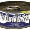 VIBRISSE KITTENS CAT OCEAANVIS