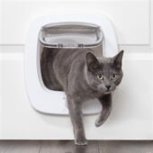 Petsafe Kattenluik Grote Kat - met flap en 28cm