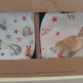 Francien theezak schoteltjes -2 stuks